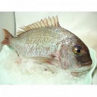 澎湖迦納魚<1尾600g>(已去鱗、急凍)