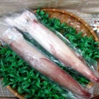 [鮮活急凍]澎湖現撈生小卷<2尾450g>(鎖港...